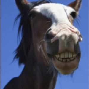 Meet your Posher, Natalie